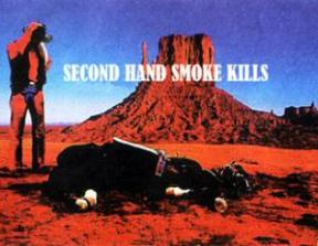 Cancer Patients Aid Association - "Second hand smoke kills"<br />photo credit: adoholik.com